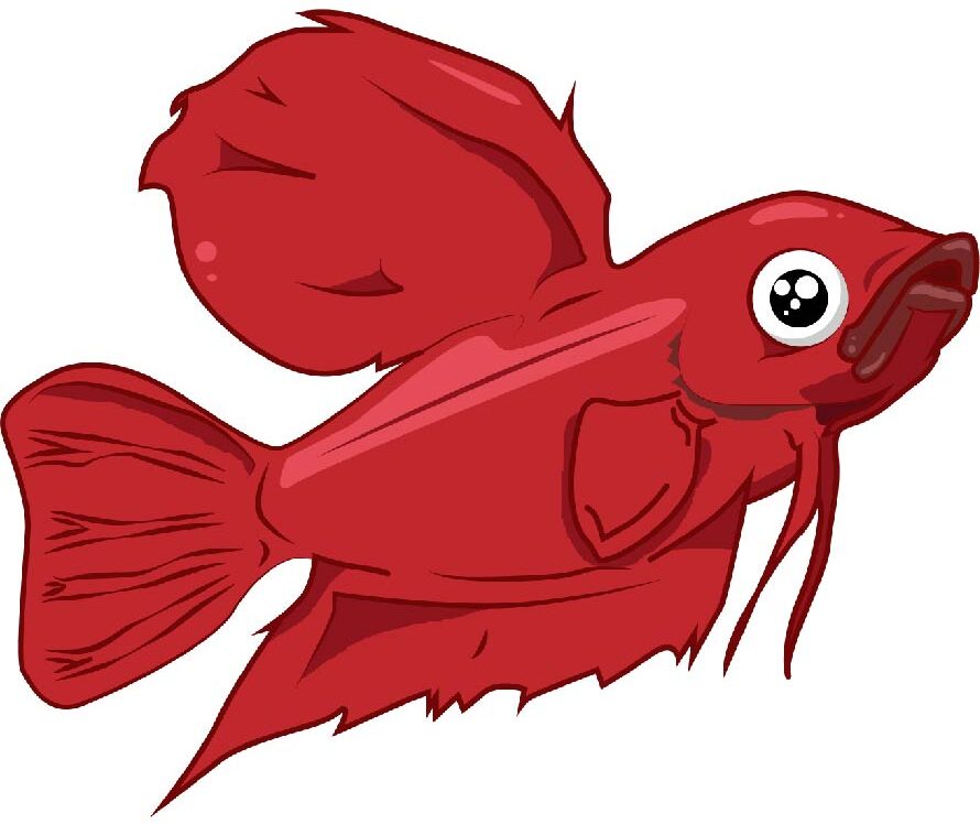 Red Betta the tropical fish keeping UK logo