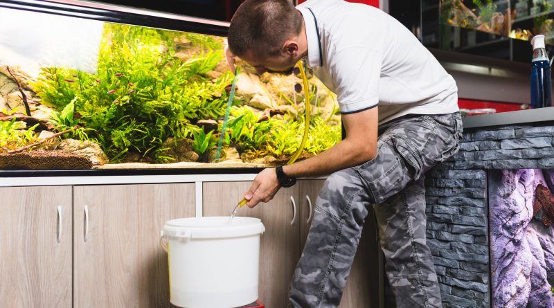 A young man uses a syphon to take the water out of lushly planted fish tank.